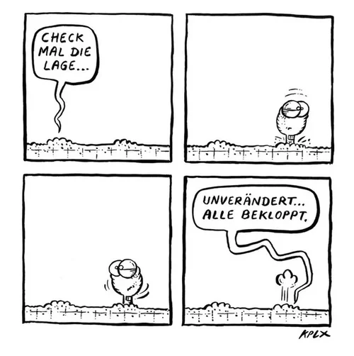 2265C97C-DC83-4149-9C21-AEDE8879CF79.webp 2265C97C-DC83-4149-9C21-AEDE8879CF79.webp