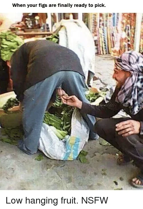 1623433175683.webp 1623433175683.webp