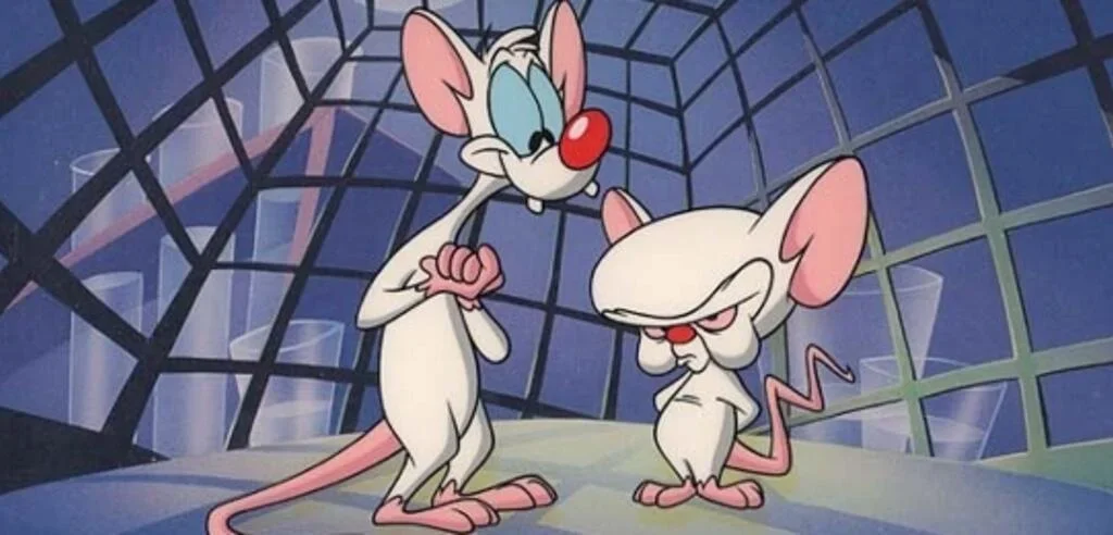 1623706557054.webp 1623706557054.webp