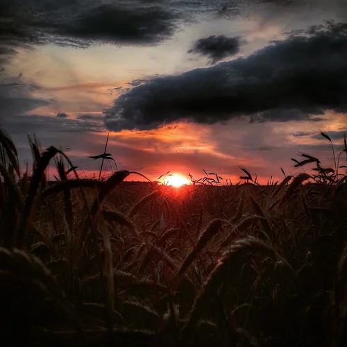 20200617_222450 (1).webp