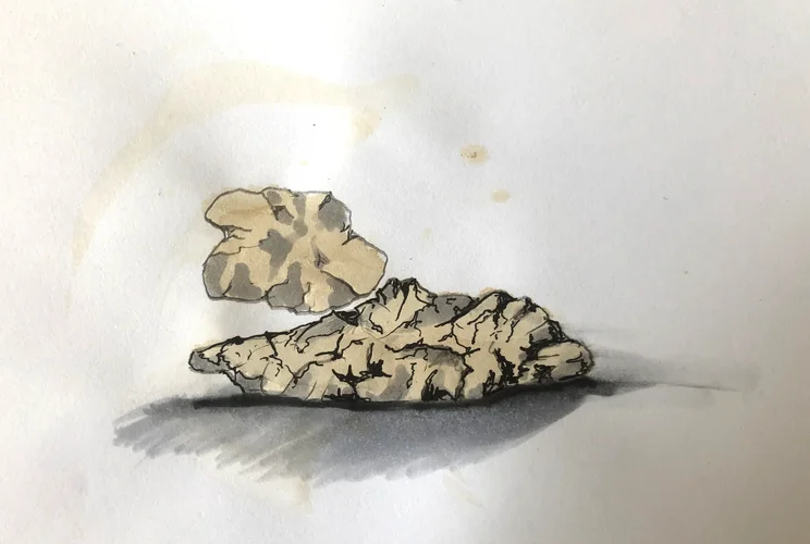 1624611486211.webp 1624611486211.webp