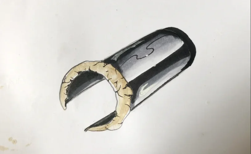 1624958172408.webp 1624958172408.webp