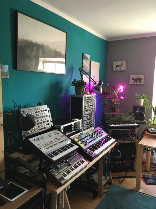 IMG_6117.webp IMG_6117.webp