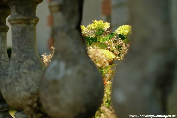 TonKlangLichterBokeh - 28.webp