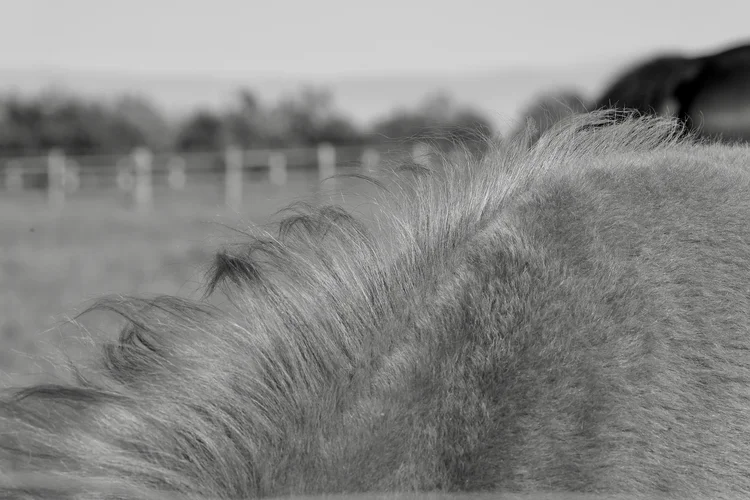 TonKlangLichterStreet - 1.webp