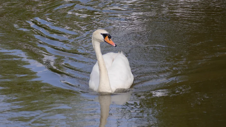 210716_0615_1920x1080.webp 210716_0615_1920x1080.webp