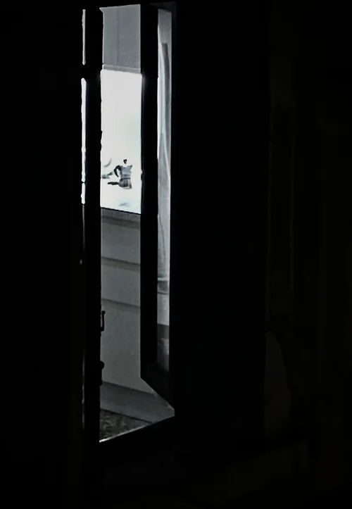 C4E61522-0F48-4246-B86F-A4030D58EBA6.jpeg C4E61522-0F48-4246-B86F-A4030D58EBA6.jpeg