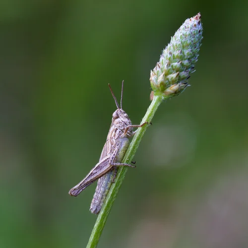 b5f5e0e4-d99a-47b0-bff4-1c289092113e-0.jpg b5f5e0e4-d99a-47b0-bff4-1c289092113e-0.jpg