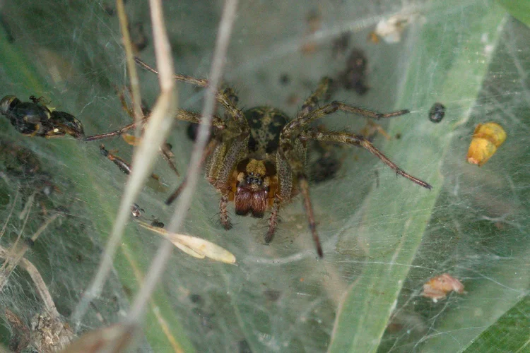 2d650a20-f450-4a1a-b406-24d10b68b7d8-0.jpg 2d650a20-f450-4a1a-b406-24d10b68b7d8-0.jpg