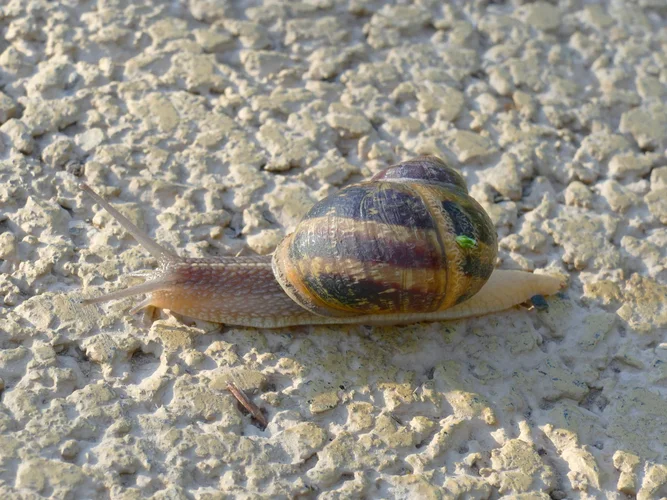 210730_0785_1280x960.webp 210730_0785_1280x960.webp