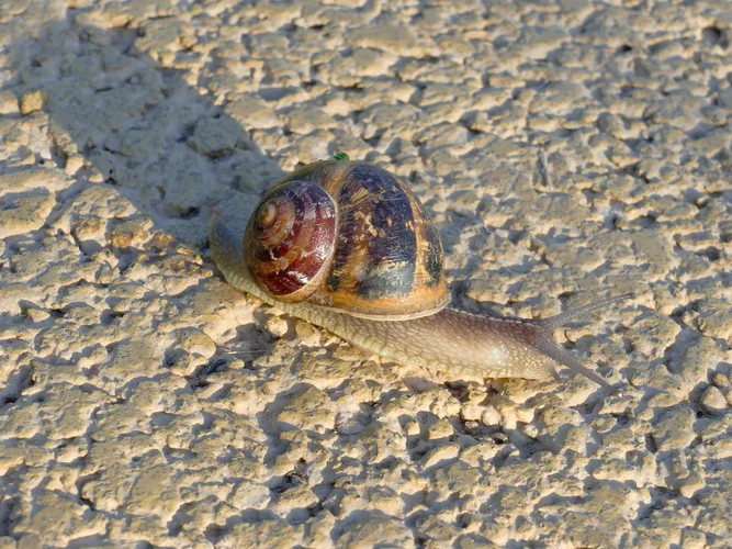 210730_0787_1280x960.webp 210730_0787_1280x960.webp