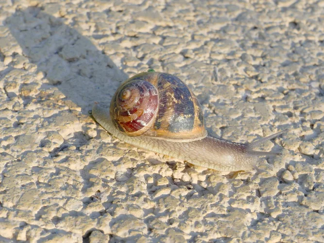 210730_0791_1280x960.webp 210730_0791_1280x960.webp