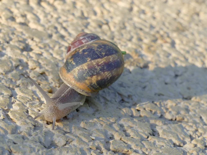 210730_0813_1280x960.webp 210730_0813_1280x960.webp