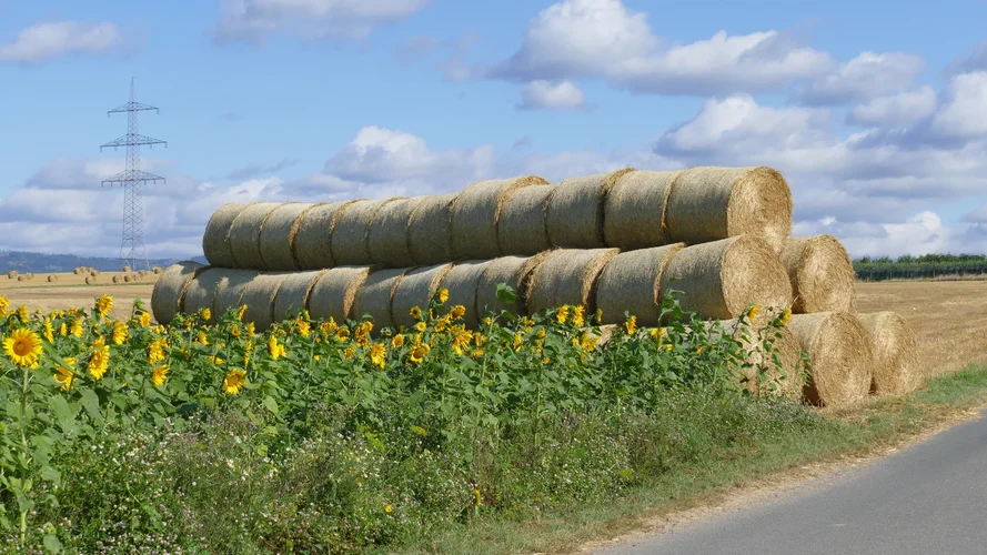 210731_0942_1920x1080.webp 210731_0942_1920x1080.webp