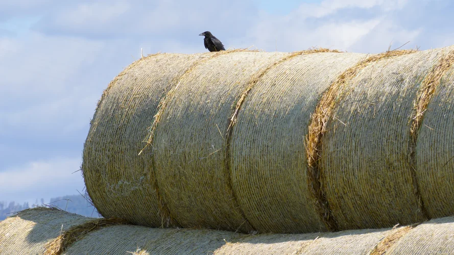 210731_0945_1920x1080.webp 210731_0945_1920x1080.webp