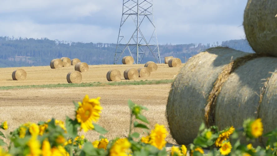 210731_0949_1920x1080.webp 210731_0949_1920x1080.webp