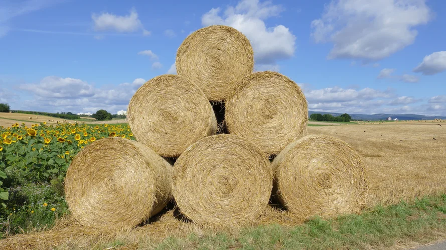 210731_0957_1920x1080.webp 210731_0957_1920x1080.webp