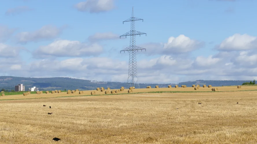 210731_0968_1920x1080.webp 210731_0968_1920x1080.webp