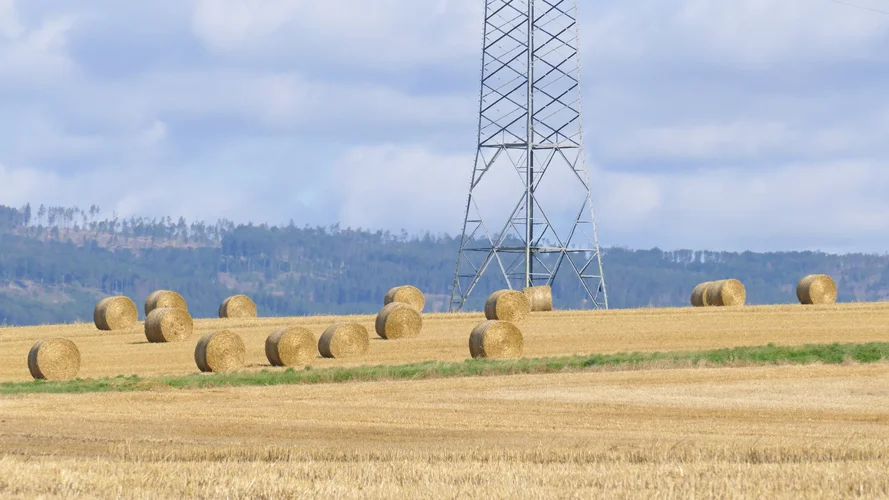 210731_0969_1920x1080.webp 210731_0969_1920x1080.webp