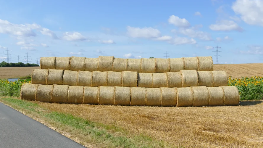 210731_0971_1920x1080.webp 210731_0971_1920x1080.webp