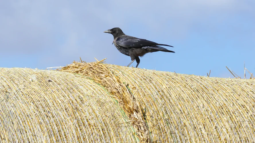 210731_0975_1920x1080.webp 210731_0975_1920x1080.webp