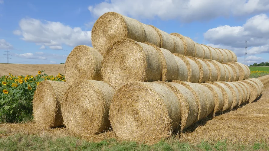 210731_0988_1920x1080.webp 210731_0988_1920x1080.webp