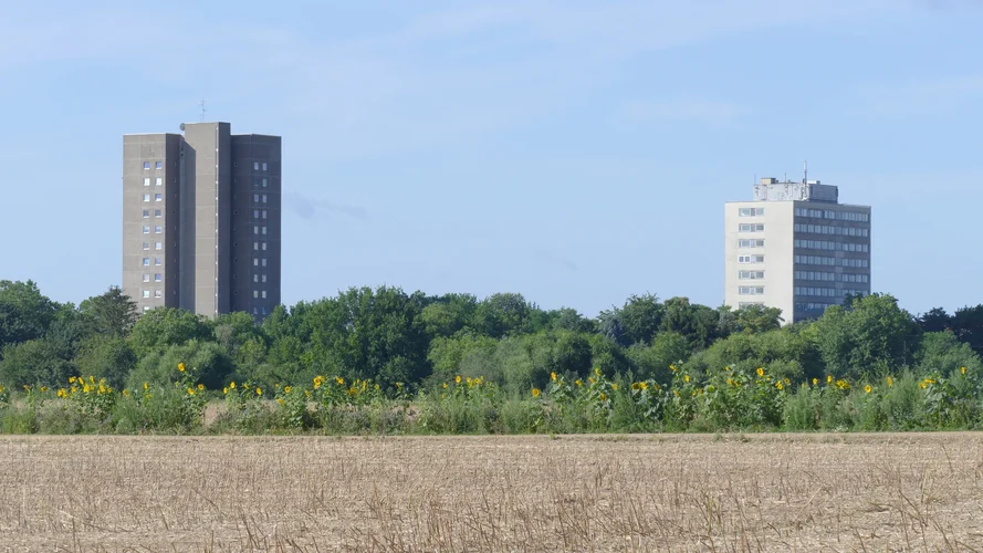 210731_0857_1920x1080.webp 210731_0857_1920x1080.webp