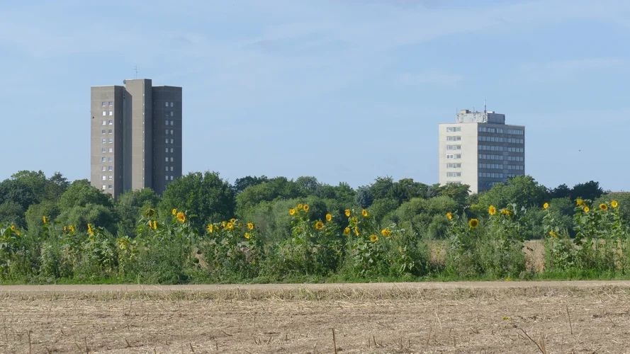 210731_0864_1920x1080.webp 210731_0864_1920x1080.webp