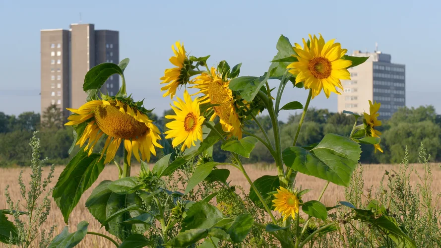 210730_0780_1920x1080.webp 210730_0780_1920x1080.webp