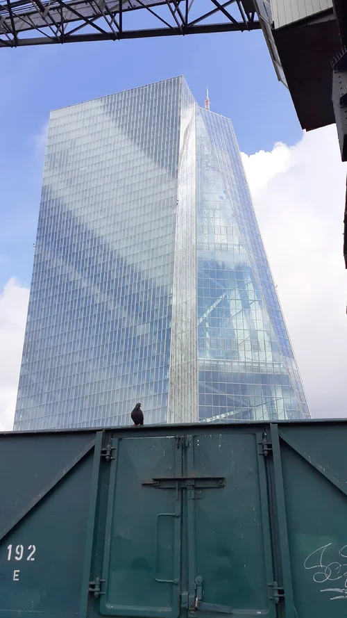 20210804_105237_1080x1920.webp 20210804_105237_1080x1920.webp