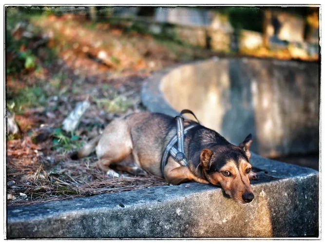 2254B9BC-AF7D-4EE3-B2D5-3D6B09513504.webp 2254B9BC-AF7D-4EE3-B2D5-3D6B09513504.webp