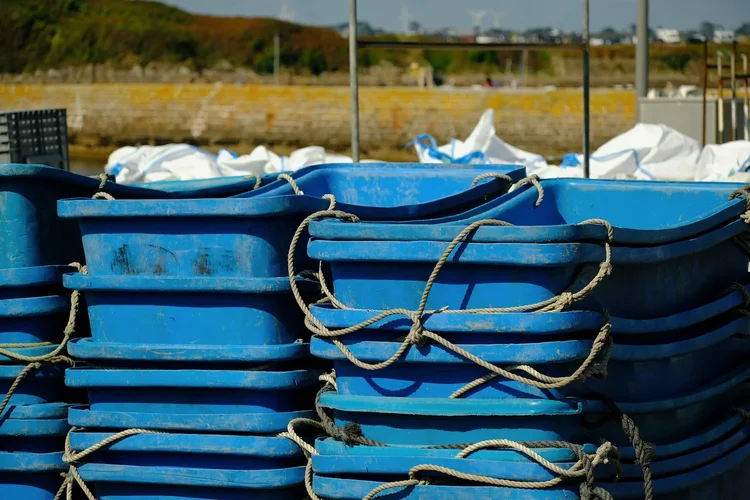 TonKlangLichterNouveaverb - 1.webp TonKlangLichterNouveaverb - 1.webp