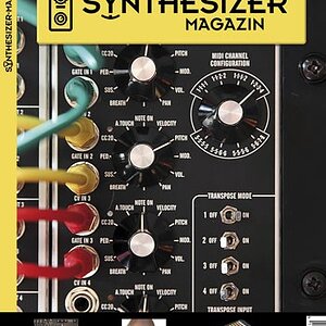 SynMag 21