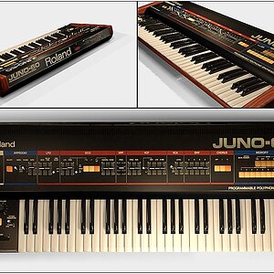 Cosso_Juno60.jpg