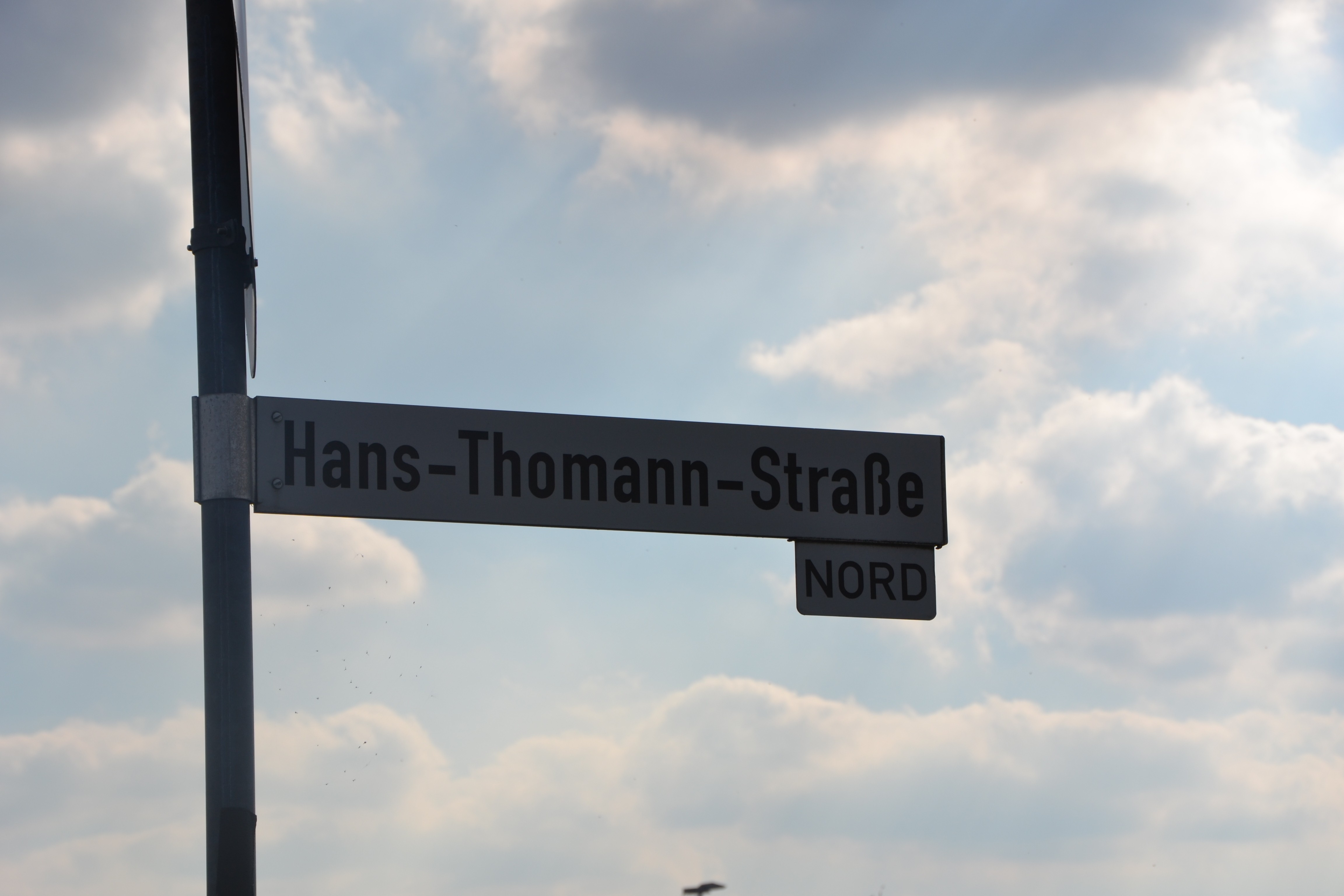 Thomann Strasse