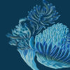 renatura.bandcamp.com