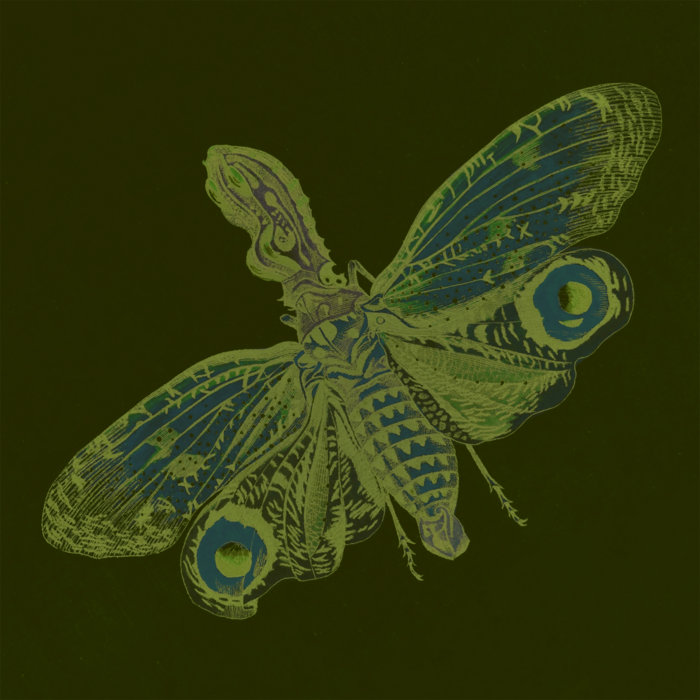 renatura.bandcamp.com