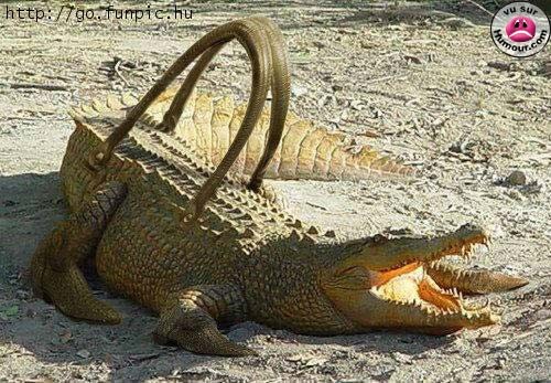 sac_croco.jpg