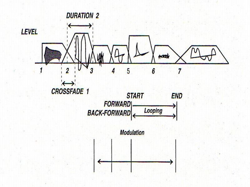 korg-wavestation-wave-sequencingjpg.jpg