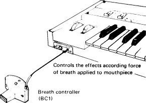 fig08-3.gif