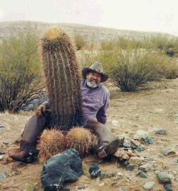 Cactus.jpg