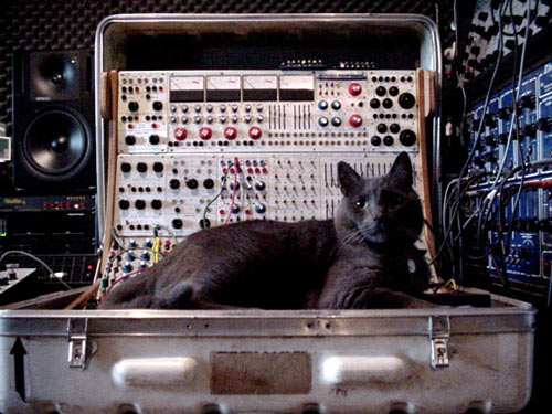 buchla_f.jpg