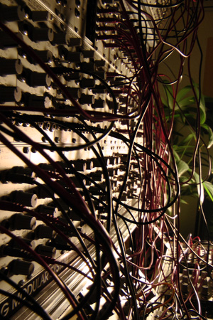 S1100005-b.jpg