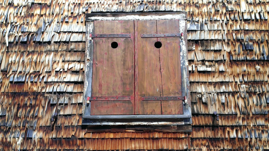 holz4.jpg