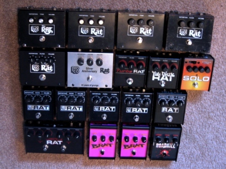Rat%20collection%202-28-07.JPG