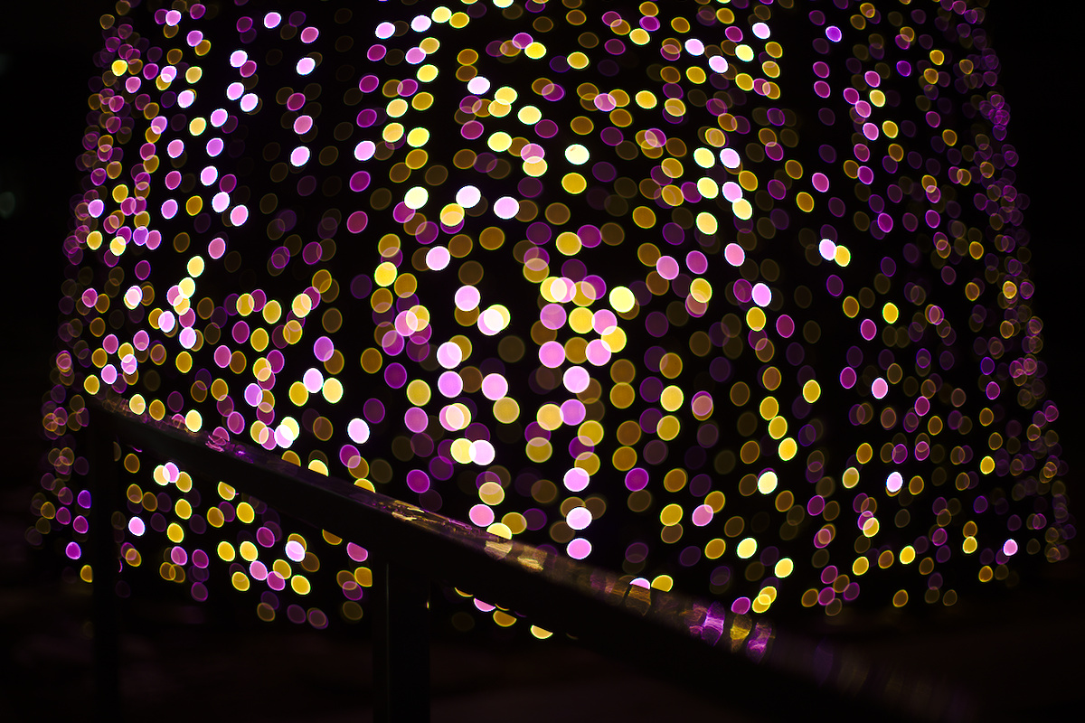 bokeh35.jpg
