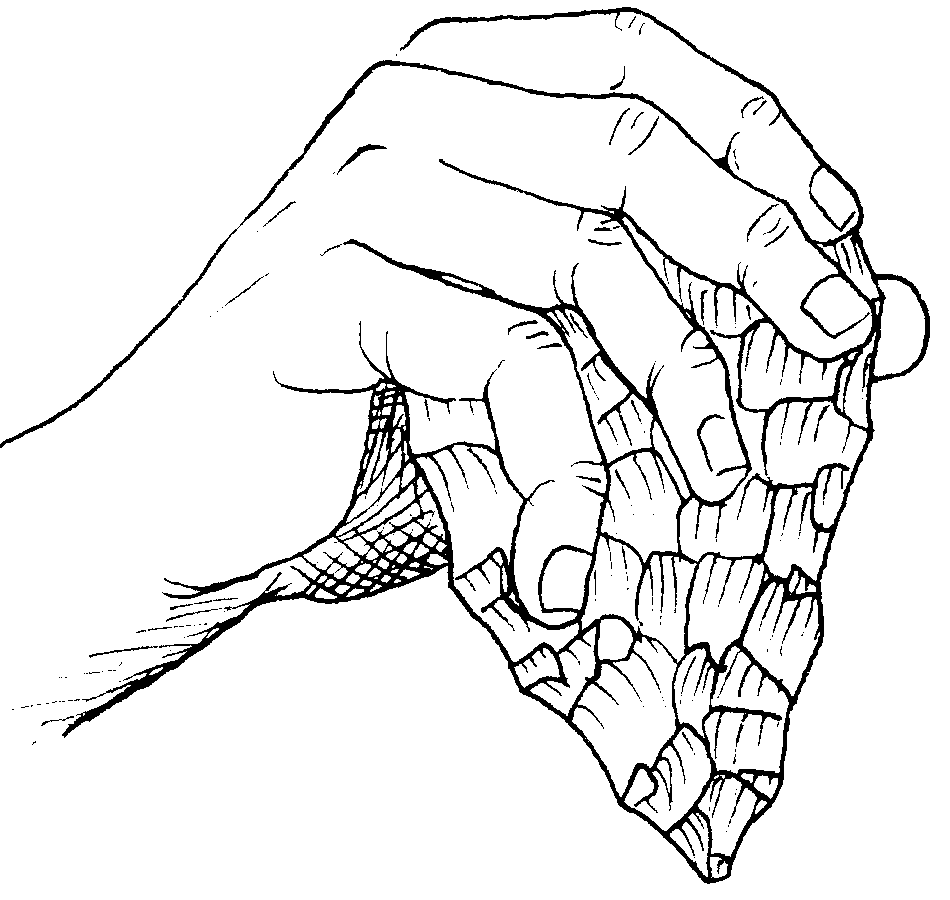 de.wikipedia.org