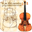 stradivarishop.com