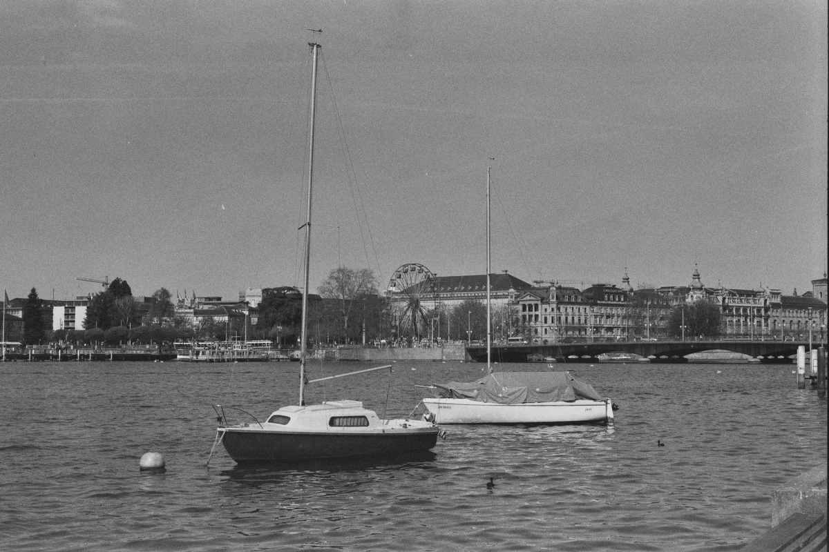 see.bw.jpg