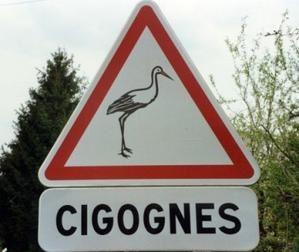 cigogne.jpg